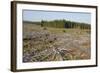 Area of Felled Non-Native Plantation, Flow Country, Highland, Scotland, UK-Mark Hamblin-Framed Photographic Print