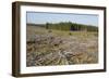 Area of Felled Non-Native Plantation, Flow Country, Highland, Scotland, UK-Mark Hamblin-Framed Photographic Print