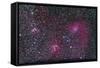 Area of Flaming Star Nebula and Complex in Auriga-null-Framed Stretched Canvas