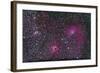 Area of Flaming Star Nebula and Complex in Auriga-null-Framed Photographic Print