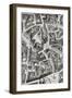 Area of San Juan, Madrid, after the Plan Drawn by Pedro Texeira Albernaz-G. Maranon-Framed Giclee Print