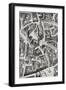 Area of San Juan, Madrid, after the Plan Drawn by Pedro Texeira Albernaz-G. Maranon-Framed Giclee Print