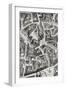 Area of San Juan, Madrid, after the Plan Drawn by Pedro Texeira Albernaz-G. Maranon-Framed Giclee Print