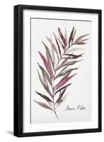 Areca Palm-Aimee Wilson-Framed Art Print