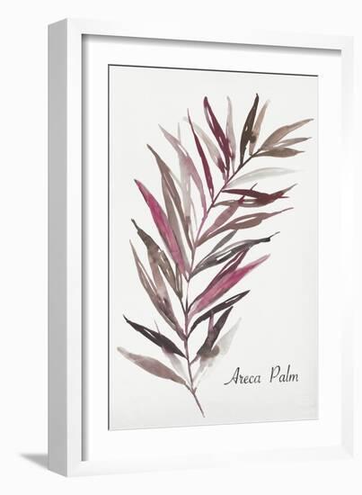 Areca Palm-Aimee Wilson-Framed Art Print
