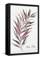 Areca Palm-Aimee Wilson-Framed Stretched Canvas