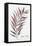 Areca Palm-Aimee Wilson-Framed Stretched Canvas