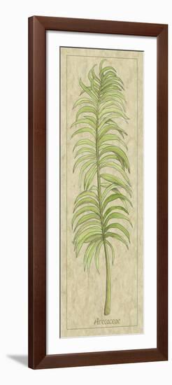 Arecaceae Leaf-Alicia Ludwig-Framed Art Print