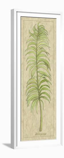 Arecaceae Leaf-Alicia Ludwig-Framed Premium Giclee Print