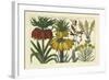 Arena Botanical I-Arena-Framed Art Print