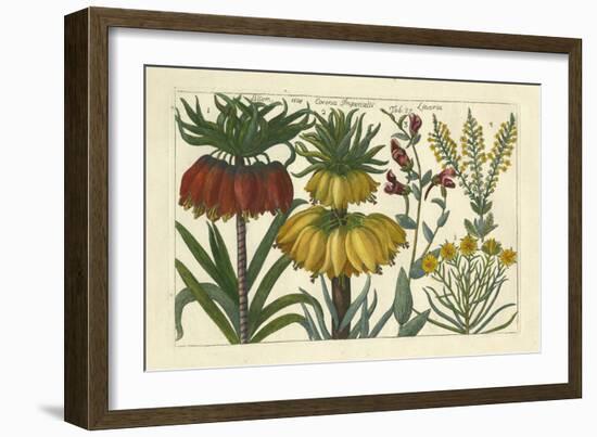 Arena Botanical I-Arena-Framed Art Print