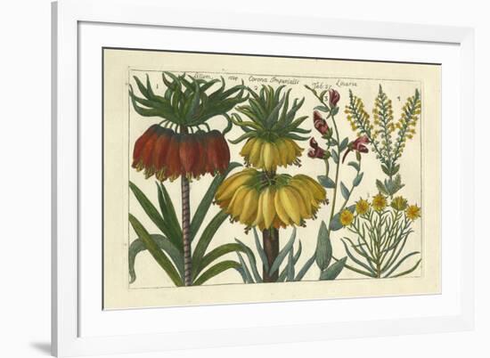 Arena Botanical I-Arena-Framed Art Print