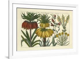 Arena Botanical I-Arena-Framed Art Print