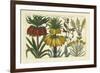 Arena Botanical I-Arena-Framed Art Print