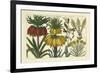 Arena Botanical I-Arena-Framed Art Print