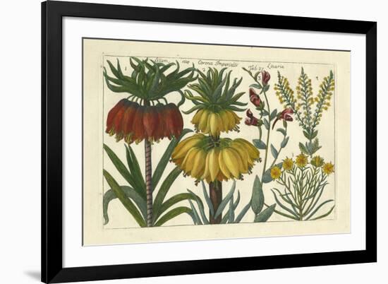 Arena Botanical I-Arena-Framed Premium Giclee Print