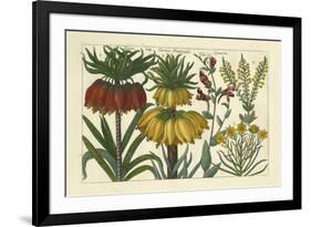 Arena Botanical I-Arena-Framed Premium Giclee Print