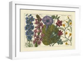 Arena Botanical IV-Arena-Framed Art Print