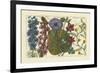 Arena Botanical IV-Arena-Framed Art Print