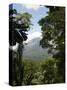 Arenal Volcano, Arenal, Costa Rica-Robert Harding-Stretched Canvas