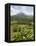 Arenal Volcano from La Fortuna Side, Costa Rica, Central America-R H Productions-Framed Stretched Canvas