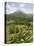 Arenal Volcano from La Fortuna Side, Costa Rica, Central America-R H Productions-Stretched Canvas