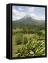 Arenal Volcano from La Fortuna Side, Costa Rica, Central America-R H Productions-Framed Stretched Canvas