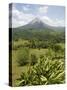 Arenal Volcano from La Fortuna Side, Costa Rica, Central America-R H Productions-Stretched Canvas