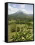 Arenal Volcano from La Fortuna Side, Costa Rica, Central America-R H Productions-Framed Stretched Canvas