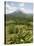 Arenal Volcano from La Fortuna Side, Costa Rica, Central America-R H Productions-Stretched Canvas