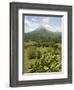 Arenal Volcano from La Fortuna Side, Costa Rica, Central America-R H Productions-Framed Photographic Print