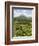 Arenal Volcano from La Fortuna Side, Costa Rica, Central America-R H Productions-Framed Photographic Print