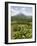 Arenal Volcano from La Fortuna Side, Costa Rica, Central America-R H Productions-Framed Photographic Print