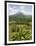 Arenal Volcano from La Fortuna Side, Costa Rica, Central America-R H Productions-Framed Photographic Print