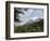Arenal Volcano from the Sky Tram, Costa Rica, Central America-R H Productions-Framed Photographic Print