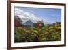 Arenal Volcano in Costa Rica with tropical flowers.-Michele Niles-Framed Photographic Print