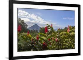 Arenal Volcano in Costa Rica with tropical flowers.-Michele Niles-Framed Photographic Print