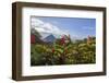 Arenal Volcano in Costa Rica with tropical flowers.-Michele Niles-Framed Photographic Print