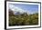 Arenal Volcano in Costa Rica with tropical flowers.-Michele Niles-Framed Photographic Print