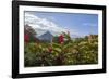 Arenal Volcano in Costa Rica with tropical flowers.-Michele Niles-Framed Photographic Print