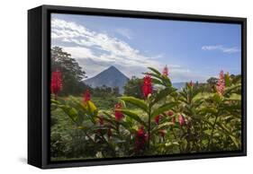 Arenal Volcano in Costa Rica with tropical flowers.-Michele Niles-Framed Stretched Canvas