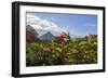 Arenal Volcano in Costa Rica with tropical flowers.-Michele Niles-Framed Photographic Print