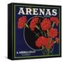 Arenas Brand - Los Angeles, California - Citrus Crate Label-Lantern Press-Framed Stretched Canvas