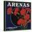 Arenas Brand - Los Angeles, California - Citrus Crate Label-Lantern Press-Stretched Canvas