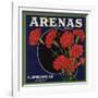 Arenas Brand - Los Angeles, California - Citrus Crate Label-Lantern Press-Framed Art Print