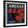 Arenas Brand - Los Angeles, California - Citrus Crate Label-Lantern Press-Framed Art Print