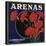 Arenas Brand - Los Angeles, California - Citrus Crate Label-Lantern Press-Stretched Canvas