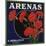 Arenas Brand - Los Angeles, California - Citrus Crate Label-Lantern Press-Mounted Art Print