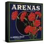 Arenas Brand - Los Angeles, California - Citrus Crate Label-Lantern Press-Framed Stretched Canvas