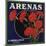 Arenas Brand - Los Angeles, California - Citrus Crate Label-Lantern Press-Mounted Art Print